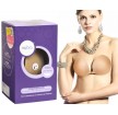 日本正品NUBRA PADDED FEATHER LITE C CUP