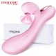 Erocome - Delphinus