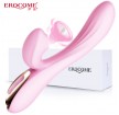 Erocome - Delphinus