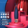 Pillow Talk(加拿大) Secrets Playful Massager 迷你震动棒