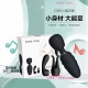 Pocket Wand Mini Sized AV wand with the different head attachments (black)
